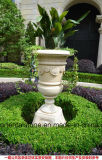 Carved Marble Stone Flower Pot Garden Sculpture for Outdoor