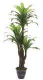 Eco-Friendly Artificial Flower Leaf Bonsai Artificial Plant/Artificial Plant Bonsai 239