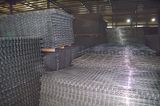 Welded Wire Mesh