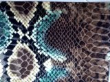 Snake Fabric with PU Coating for Handbag