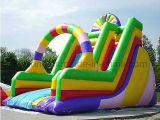 Bouncy Castle Inflatable, Inflatable Slide with CE