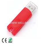 Plastic USB Flash Disk with Logo Printing for Promotion