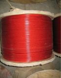 PVC Coated Stainless Steel Wire Rope