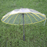 16k Creative Semi-Automatic Transparent Long-Handled Umbrella