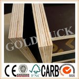 Black Brown Film Faced Plywood/Shuttering Plywood (QDGL1229)