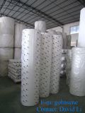 PP Nonwoven Cloth in Roll