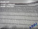 Plastic Mesh