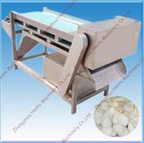 Hot Selling Stainless Steel Mushroom Cutting Machine