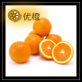Citrus Fruit (COMMON)