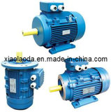 Blower Motor (Three Phase Electric Motor)