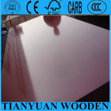 Concrete Use Construction Plywood/Film Faced Shuttering Plywood