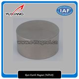 Rare Earth Magnet (NdFeB)