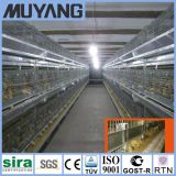 Poultry Cage Raising System a Type Pullet Poultry Raising Equipment
