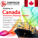 Container Shipping From Shanghai, Ningbo, Shenzhen, Guangzhou to Vancouver, Montreal, Toronto