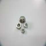 Heavy Hex Nut with Bolt M20~M45
