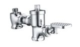 Water Saving Brass Flushing Valve (TRF6901)