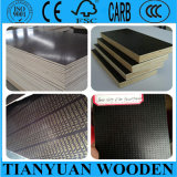 12mm Film Faced Plywood/4X8' Shuttering Plywood