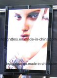 LED Slim Backlit Light Box with Magnetic