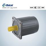 New Guanlian 220V AC Electric Motors