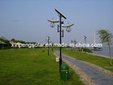 Solar LED Garden Light/ Solar Outdoor Light