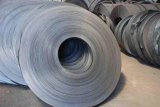 Hot Dipped Steel Coil