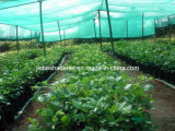 Horticultural Shade Netting