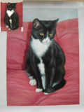 Pet Portrait Oil Painting