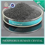 Water Soluble Fertilizer Phosphorus Humate (HA-P)