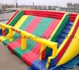 Inflatable Water Slide