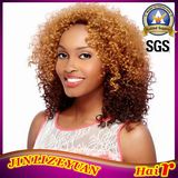 Kinky Curly Two Tone Color Ombre Synthetic Hair Wig