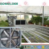 Axial Flow Type Ventilation Cooling Exhaust Fan for Greenhouse