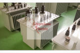 Distribution Transformer China