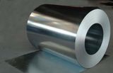 Galvanized Steel Sheet in Coil