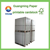 Stocklot Ivory Board Offset Printing Paper