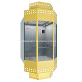 Hsgq-1410-Nice Designed Panoramic Elevator with Car Covers
