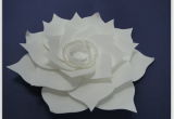 Paper Flower Wfam-07