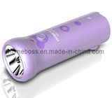 Powerful Torch/Fashionable Flashlight/Lighting (JBS-S018) (520)