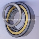 Nu310ecp Cylindrical Roller Bearing