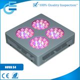 Evergrow Nova S4 LED Grow Light Medical Plant