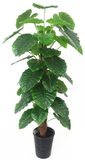 Tropical Flower Plant Wholesale Artificial Tropical Plants 605