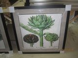 Framed Print Plant (MG1001)