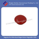 Fridge Magnet Magnetic Pins White Board Magnet Button Magnet (XLJ-2202)