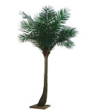 Hot Sale Artificial Coconut Tree for Decoration