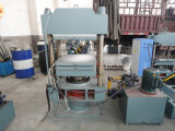Double Oil Seal and Plate Press Rubber Vulcanizing Machine