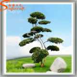 Different Kinds of Artificial Bonsai Topiary Boxwood Plant