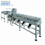 Seafood Weighing Sorter Classifier Machine at Eight Grades