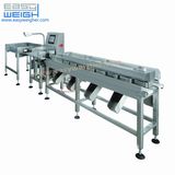 Seafood Weighing Sorter Classifier Machine at Eight Grades