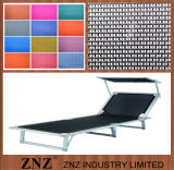 Znz PVC Nets
