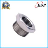 Brass Pipe Fitting, Metal Fittings (PRMF)