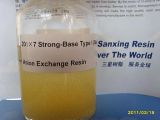 201X7 (717) Strong-Base Type I (Gel) Anion Exchange Resin